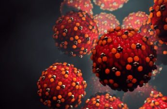 Illustration of the measles virus