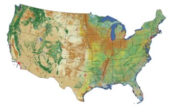 U.S. land cover map