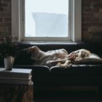 woman sleeping on a sofa in a darkened room