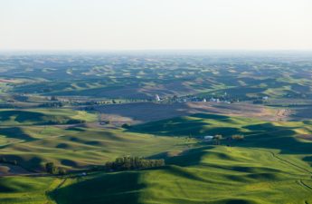 View of Palouse Hills from Steptoe butte State Park, Garfield, WA