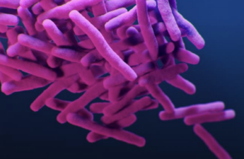 Illustration of the bacteria that cause TB, Mycoplasma tuberculosis.