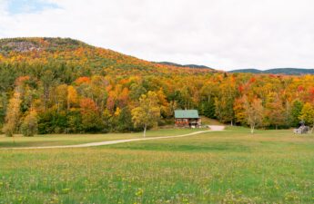 Farm in Maine in Autumn. Woods with fall colors.
