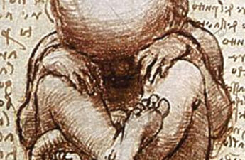 Drawing of a foetus in the womb from the sketchbooks of Leonardo da Vinci (1452 - 1519).