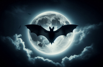 Illustration of a bat silhouetted against the moon.