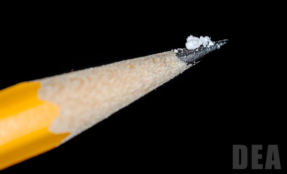 Photograph of a pencil tip with just a few milligrams of fentanyl, enough to kill.