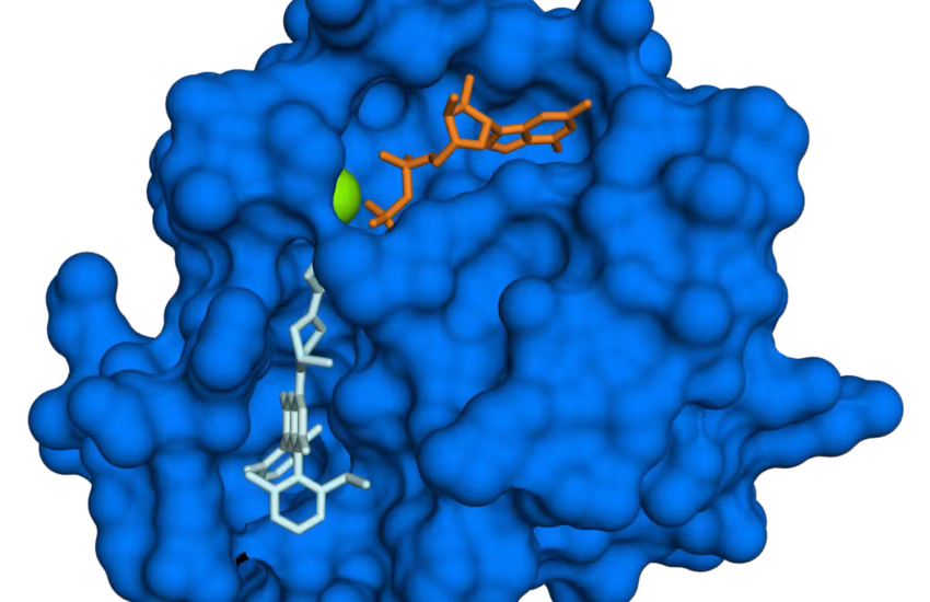 KRAS (blue) has been difficult for drugs to target. Fvasconcellos/Wikimedia Commons